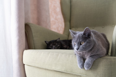 Similar image 21220707