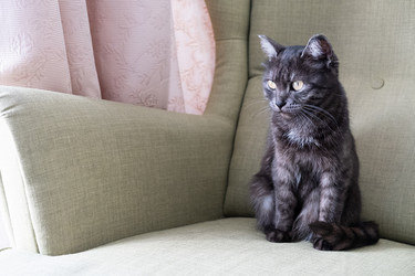 Similar image 21220709