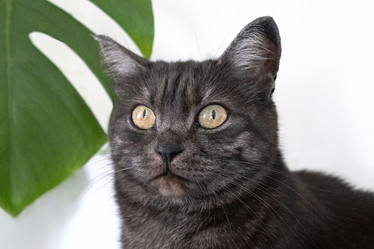 Similar image 21232282