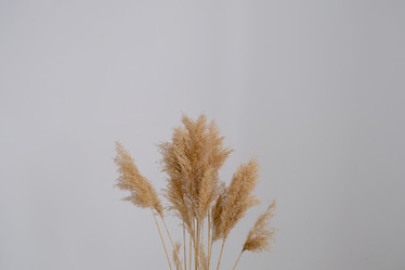 Similar image 21232416