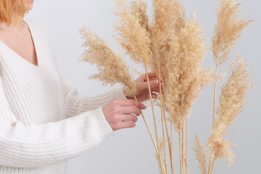 Similar image 21232420