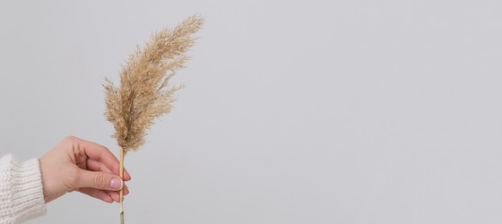 Similar image 21232424