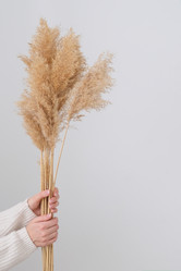 Similar image 21232430