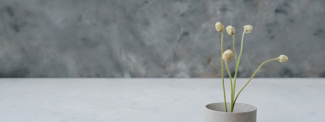 Similar image 21232436