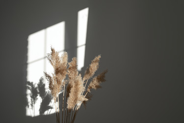 Similar image 21232449