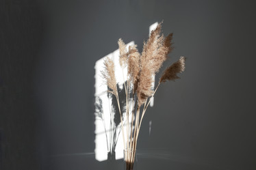 Similar image 21232455