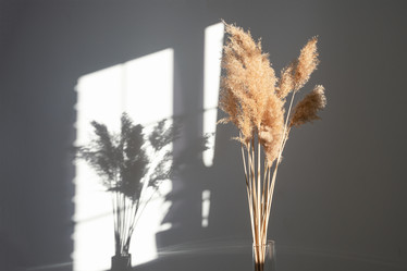 Similar image 21232457