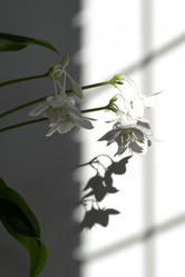 Similar image 21232467