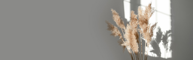 Similar image 21232469