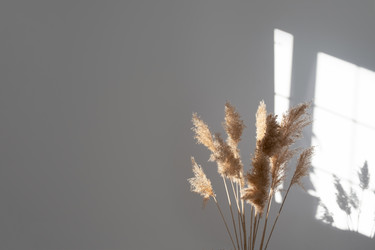 Similar image 21244925