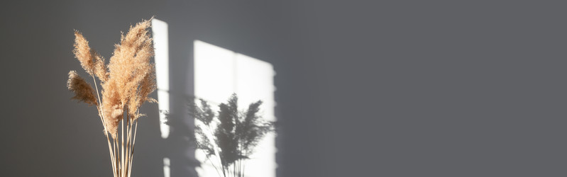 Similar image 21244927