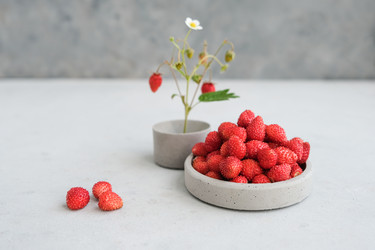 Similar image 21244935