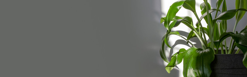 Similar image 21248688