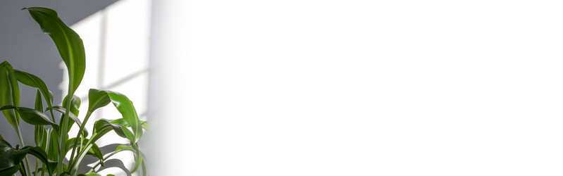 Similar image 21248864