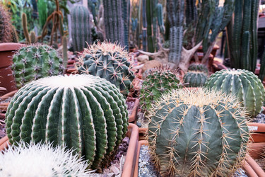 Similar image 21248870