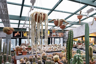 Similar image 21248871