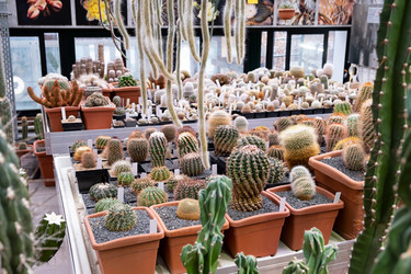 Similar image 21249059