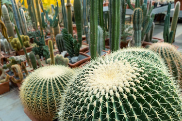 Similar image 21249061