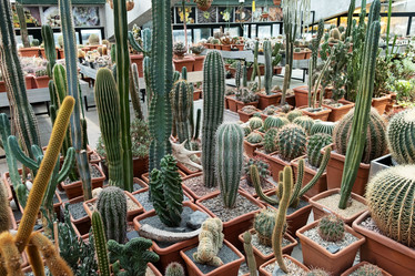 Similar image 21249063