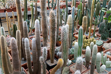 Similar image 21249064