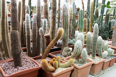 Similar image 21249065