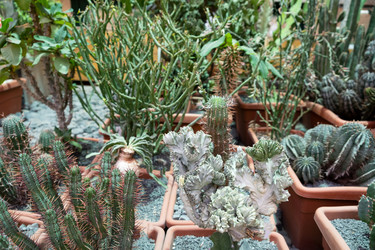 Similar image 21249066