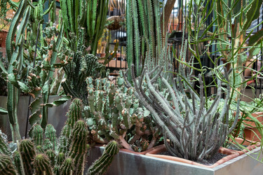 Similar image 21249068