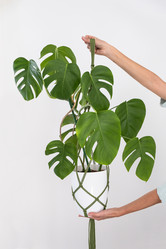 Similar image 21206842