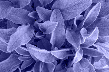 Similar image 21220655