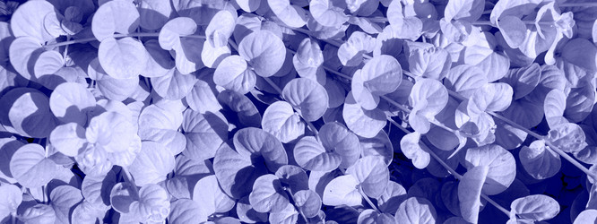 Similar image 21232297