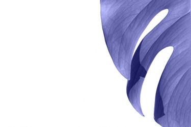 Similar image 21232473