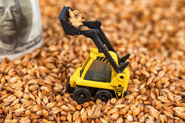 Similar image 21217093