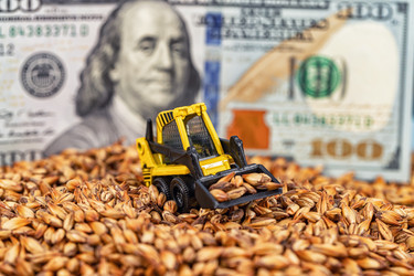 Similar image 21217102