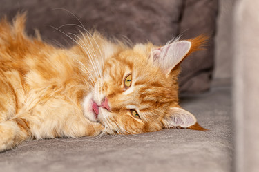 Similar image 21217115