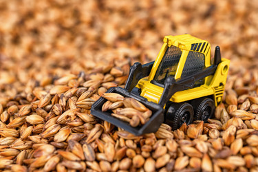 Similar image 21217125