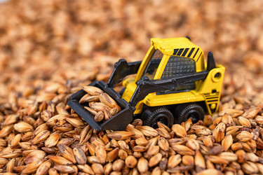 Similar image 21217127