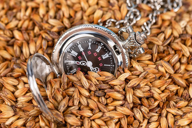 Similar image 21217135