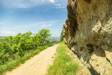 Similar image 21214634