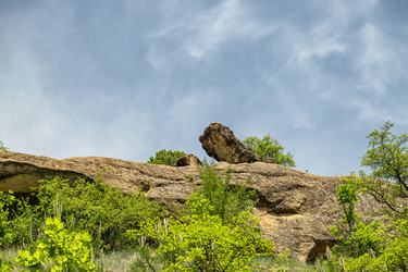 Similar image 21214635