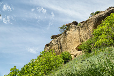 Similar image 21214637