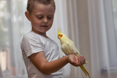 Similar image 21214644