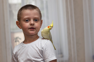 Similar image 21214645