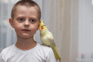 Similar image 21214646