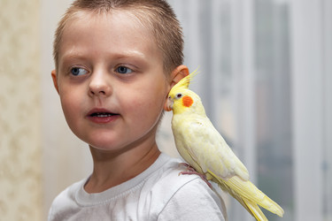 Similar image 21214648