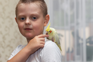 Similar image 21217002