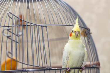 Similar image 21217004