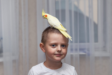 Similar image 21217006