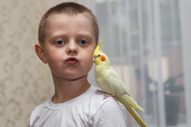 Similar image 21217021