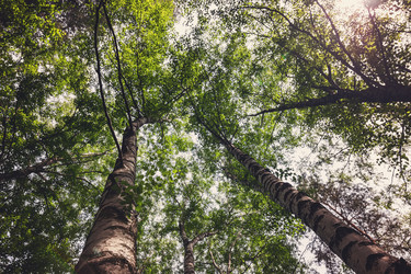 Similar image 21217022