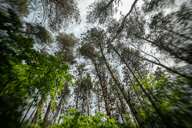 Similar image 21217153